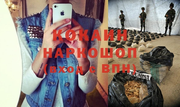 шишки Наволоки