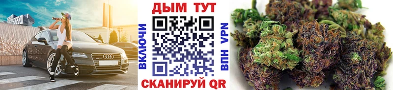 Бошки Шишки гибрид Щигры